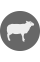 Hawkes Bay Gourmet Lamb